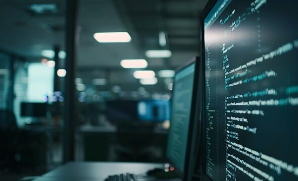 custom software development